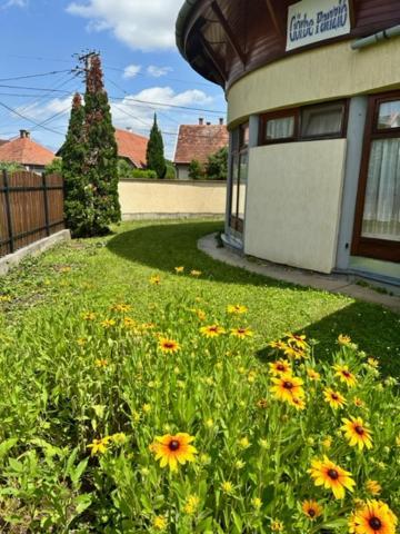 Ferienwohnung Cozy Garden Apartman Gyula Exterior foto